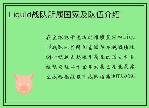 Liquid战队所属国家及队伍介绍